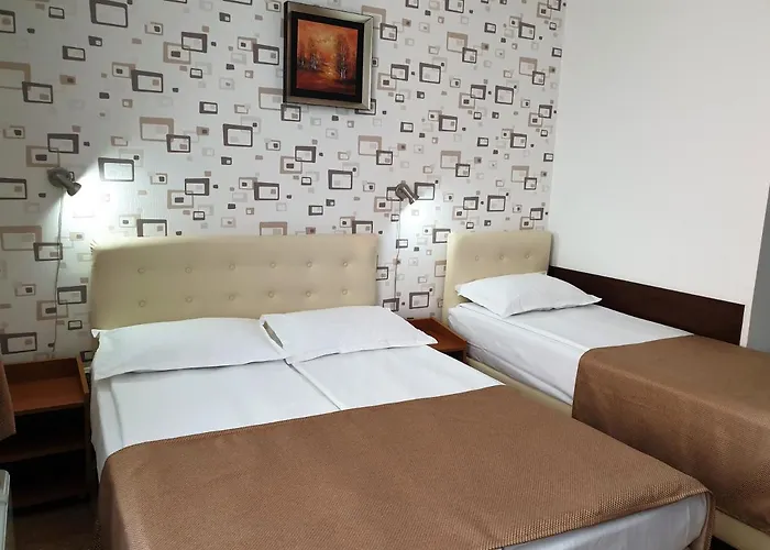 Hotel Ovidiu